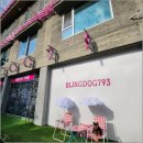 더블링독 이미지