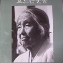 뿌리깊은나무 이미지