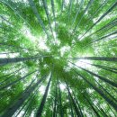 문화시설사업소 주차장 이미지