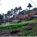 초밥천국 이미지