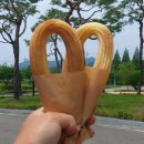 진성여자중학교 이미지