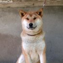 다온이네가게