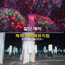 더아르떼플러스 | 제주 아르떼뮤지엄 할인 입장료 예약 카페 비오는날 가볼만한곳