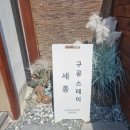 구공스테이세종