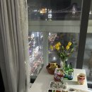 찐진김밥 이미지