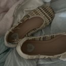 몰리스펫샵 이마트광교점 | 반려동물 용품, 간식, 장난감 백화점 &#39;몰리스 펫샵 대전터미널점&#39;, 펫호텔과 미용실까지