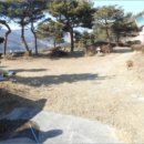 에이스목장 이미지