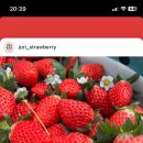 봉동농장 이미지