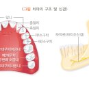 하늘치과의원 이미지