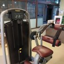 200평 이상 헬스장 오픈용 테크노짐 셀렉션 풀세트 판매합니다 (렌탈/할부 가능) 이미지