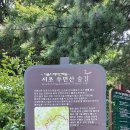 우면산둘레길 이미지