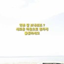 3. 자족식당 – 오징어계의 왕! 갑(甲)오징어가 떴다! 편 이미지