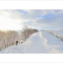 양떼목장 이미지