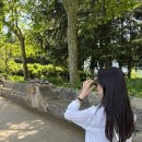 음악도시 | 이탈리아 남부 신혼여행 렌트카 타고 음악도시 라벨로 다녀오기!(빌라 침브로네 꼭 다녀오세요!!!!)