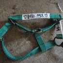 굴레목장 이미지