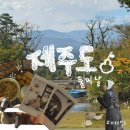 삼보목장 | 🍊ep1-제주도(카페말로/물영아리오름습지/삼보식당/모메존흑돼지)
