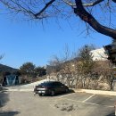 아지매손칼국수식당 | 청평역맛집 찾는다면? 가평 애견동반 식당 항아리 손 칼국수 솔직 후기