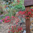 온수농장 이미지