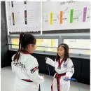 무궁화 태권도장 세종본관 이미지