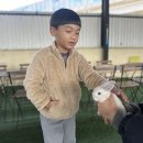 [🐰목장 053🐑] - ➋ 여러 동물친구들과의 행복한 추억을 만들어요📸 이미지