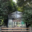 아침에 신선목장 | 4살 아이랑 제주도에서 갈 만한 곳 : 아침미소목장, 송아지 우유주기체험,카이막스프레드세트