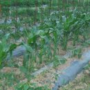 봉학농장 이미지