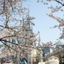 봉추찜닭 롯데월드몰 이미지