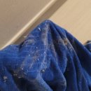 금호어울림크리닝 이미지