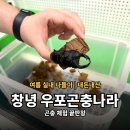 경남문구슈퍼 | 창녕 우포곤충나라 | 여름에 아이랑 가기 좋은 실내 체험 나들이