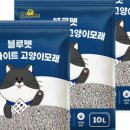 블루비(BlueB) 네이버블로그