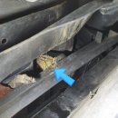 빌벡스타드자동차정비소 이미지