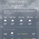 (주)사러가