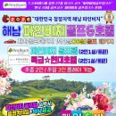 파인비치골프호텔 Daum카페