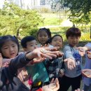 한울초병설유치원 이미지