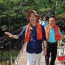 양구군청(두타연 평화누리길) 뉴시스