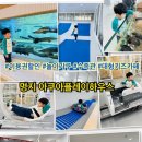 명지 아쿠아플레이하우스 대형 키즈카페 수족관 아이놀이 기구, 이용권 할인까지 모든 것 내돈내산 후기