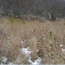 매수1리마을회관 이미지