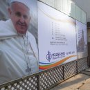 하와이장 이미지