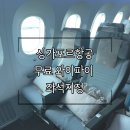 포워드짐 | 싱가포르항공 SQ607 이코노미 포워드존 사전좌석지정 무료와이파이 기내식 후기