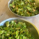 수니유치원 이미지