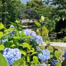 산수유자연휴양림 이미지