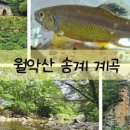 월악산 별장펜션 이미지