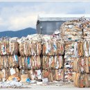 신천자원 이미지