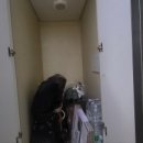 노블리안2 이미지