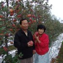 부림농장 이미지