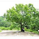 앞산공원 이미지