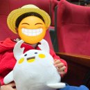 [에그박사 뮤지컬 후기] 곤충을 사랑하는 우리 아들 위한 최고의 선택!