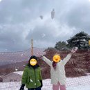 무주스키강습센터 이미지