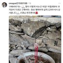🌸구제바위기도🌸
