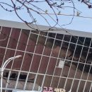 곤충이 이렇게 매력적이었다고? 국립과천과학관 곤충생태관 다녀온 후기